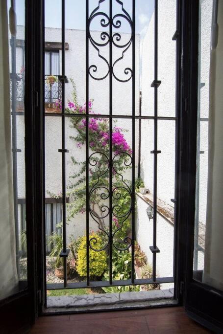 Villa Casa Ayvar. Espectacular Villa Colonial En El Corazon De Coyoacan. Kota Meksiko Bagian luar foto