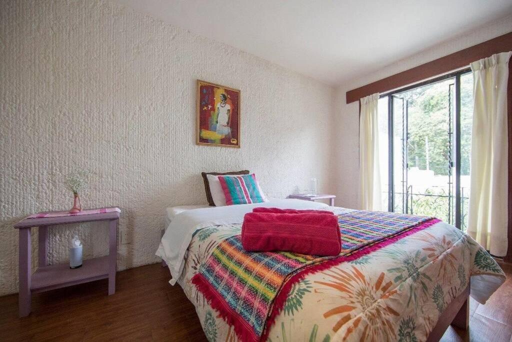 Villa Casa Ayvar. Espectacular Villa Colonial En El Corazon De Coyoacan. Kota Meksiko Bagian luar foto